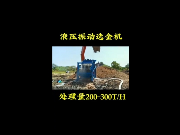 振動式選金機(jī)