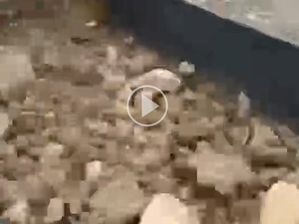 泥石分離機(jī),泥石分離篩分設(shè)備